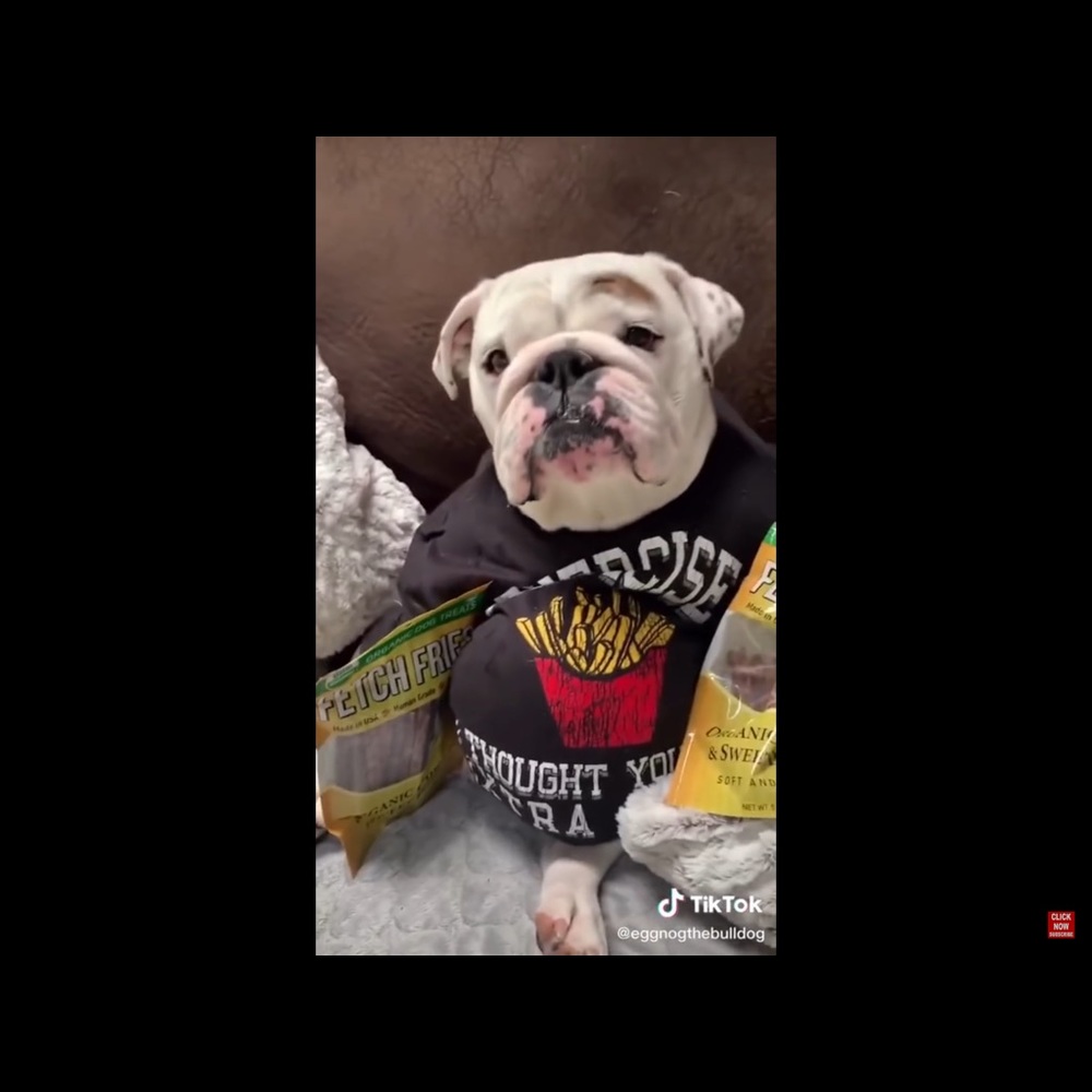 Meet your Posher, Michael